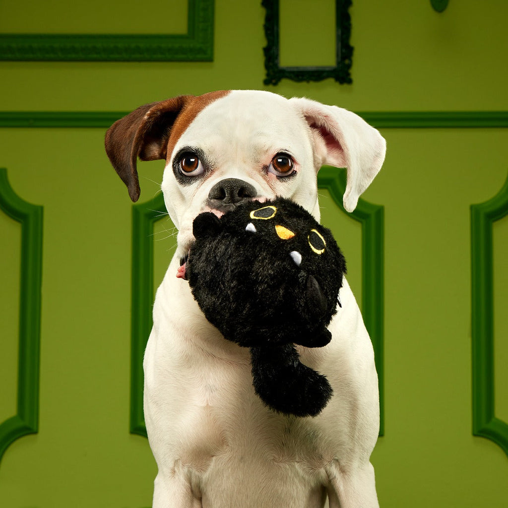 Black Alley Cat Super Chewer Durable 2-in-1 + Tug + Fetch Dog Toy