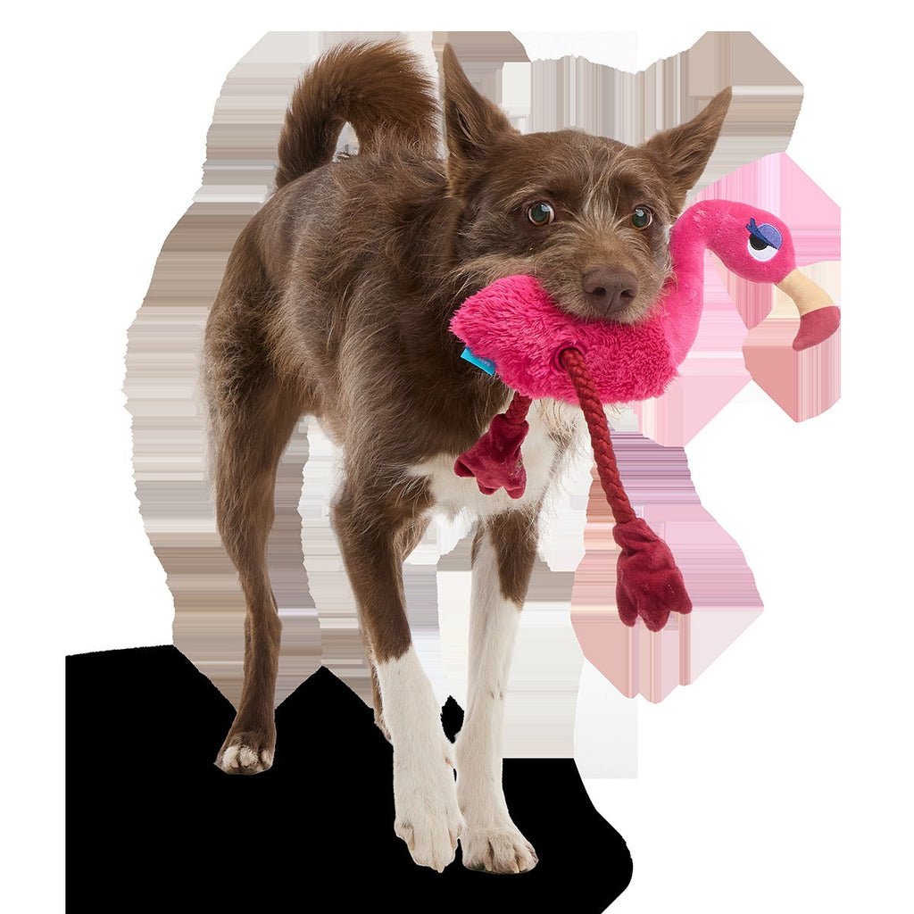 Fahari Flamingo Plush Extra-Large + Tug Dog Toy