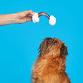 Proud Pup Rainbow Tug Super Chewer Durable Tug Dog Toy