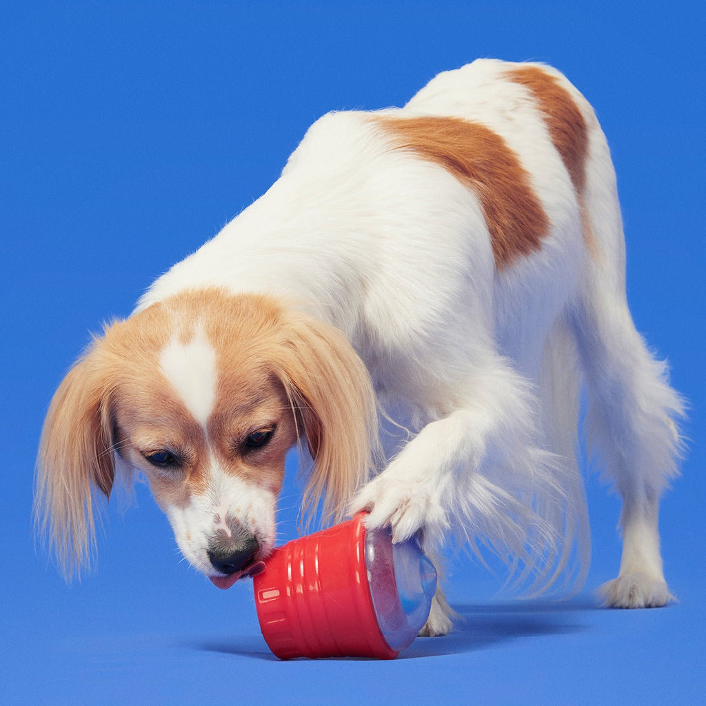 Blue Ruffberry Puppy Slushie Super Chewer Durable Engagement Dog Toy