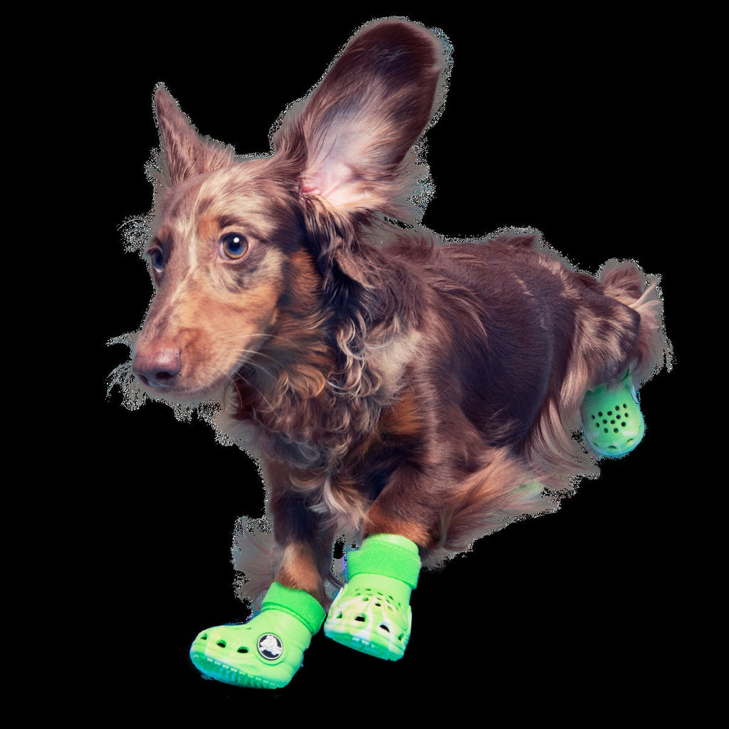 CrocsTM Shoes For Dogs