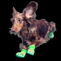CrocsTM Shoes For Dogs