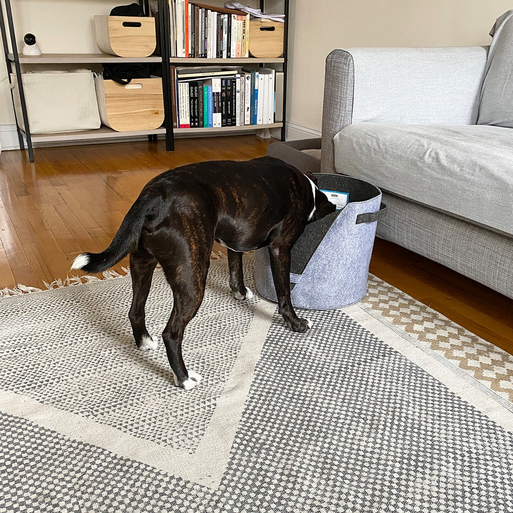 Felt Dog Toy Bin