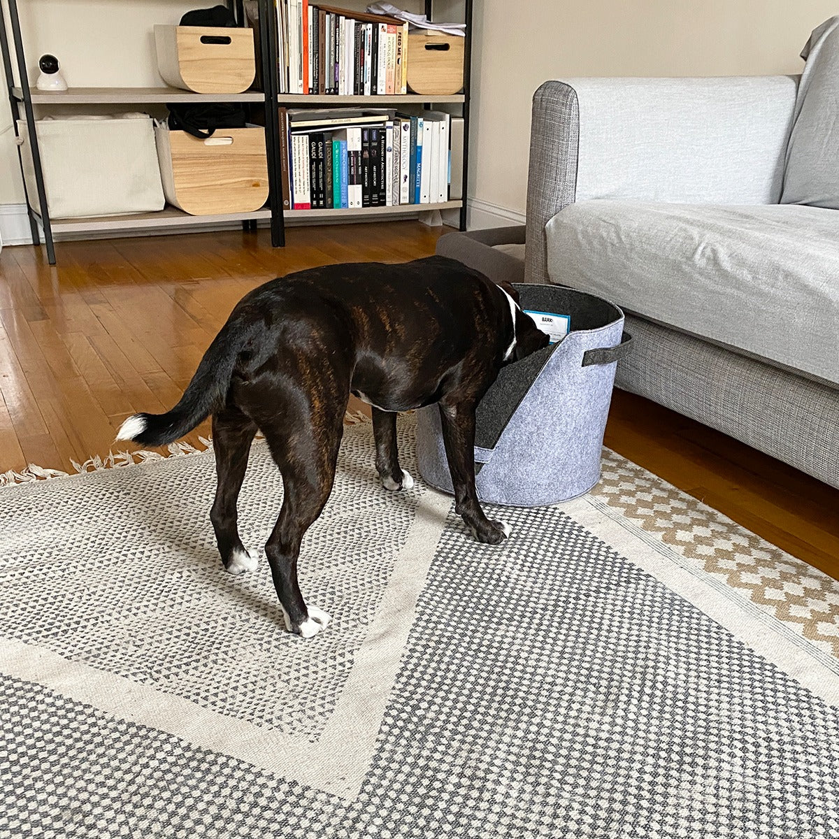 Felt Dog Toy Bin