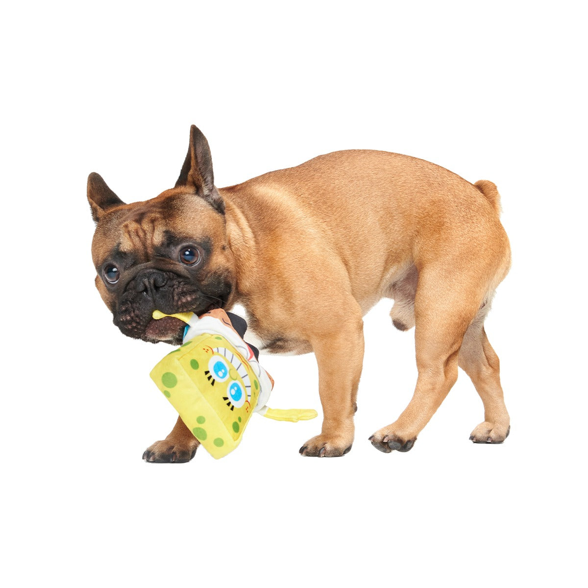SpongeBob SquarePantsed Plush Multi-Part + Enrichment Dog Toy
