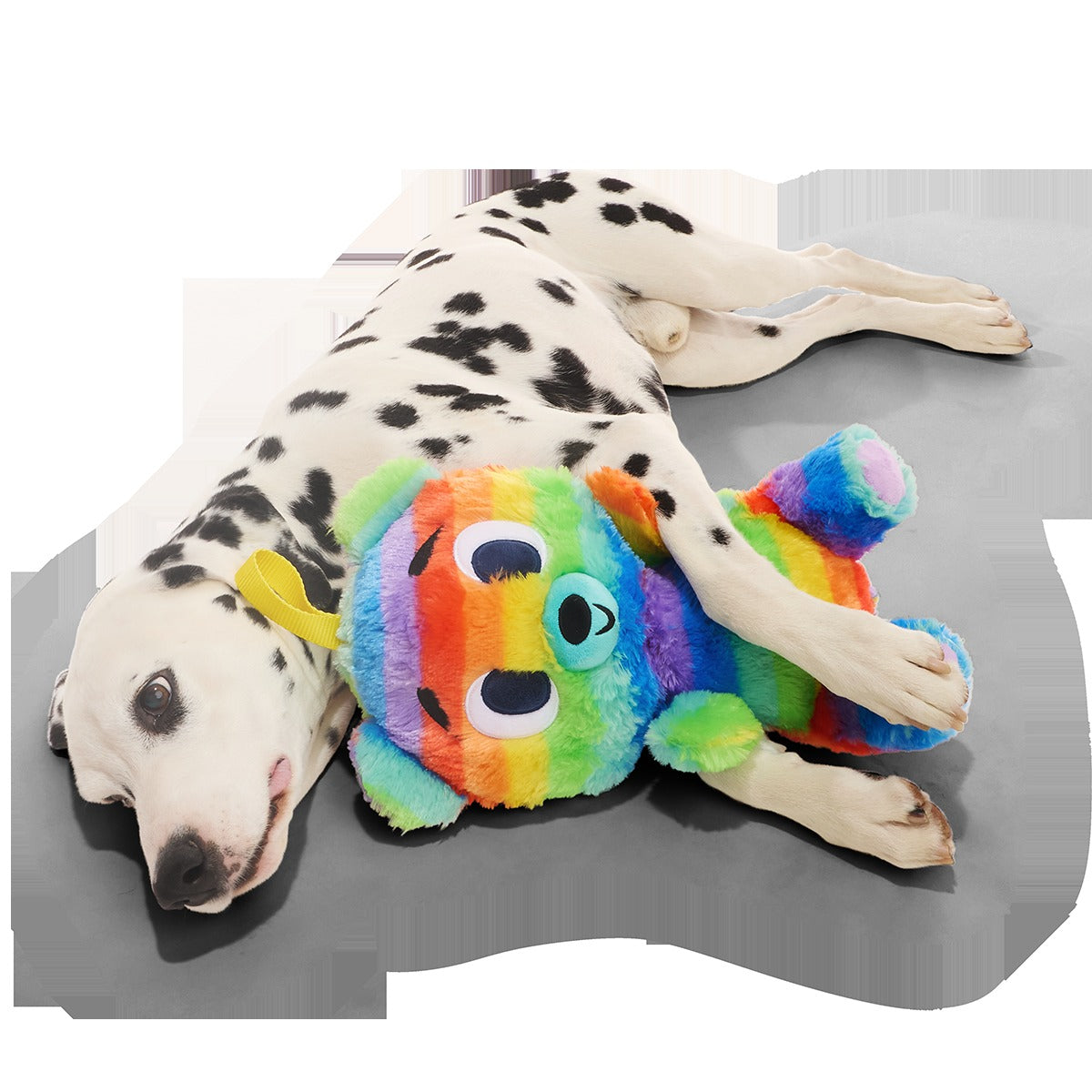 Buster the Piñata Plush Extra-Large + Multi-Part + Fetch Dog Toy