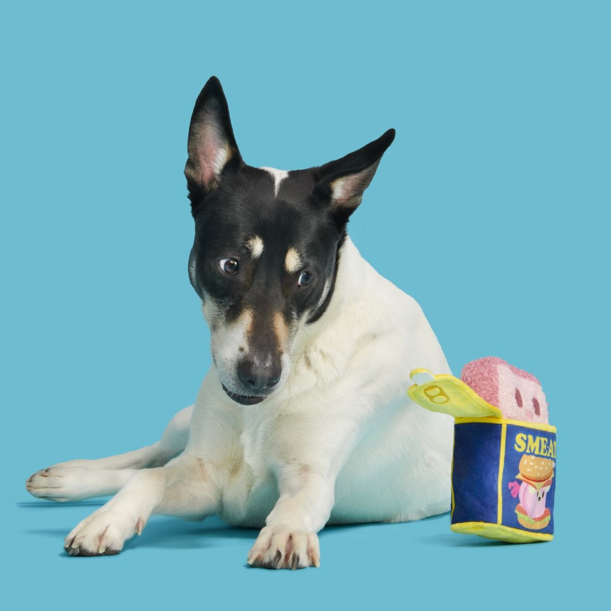 Canned Smeat Plush Multi-Part + Enrichment Dog Toy