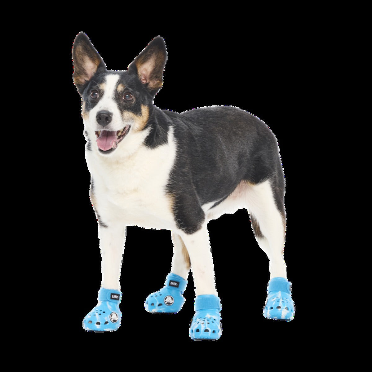 CrocsTM Shoes For Dogs