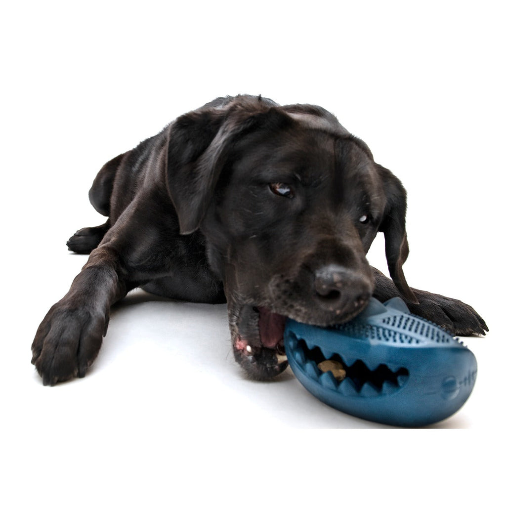 Hammer Fed Shark Super Chewer Durable Enrichment Dog Toy