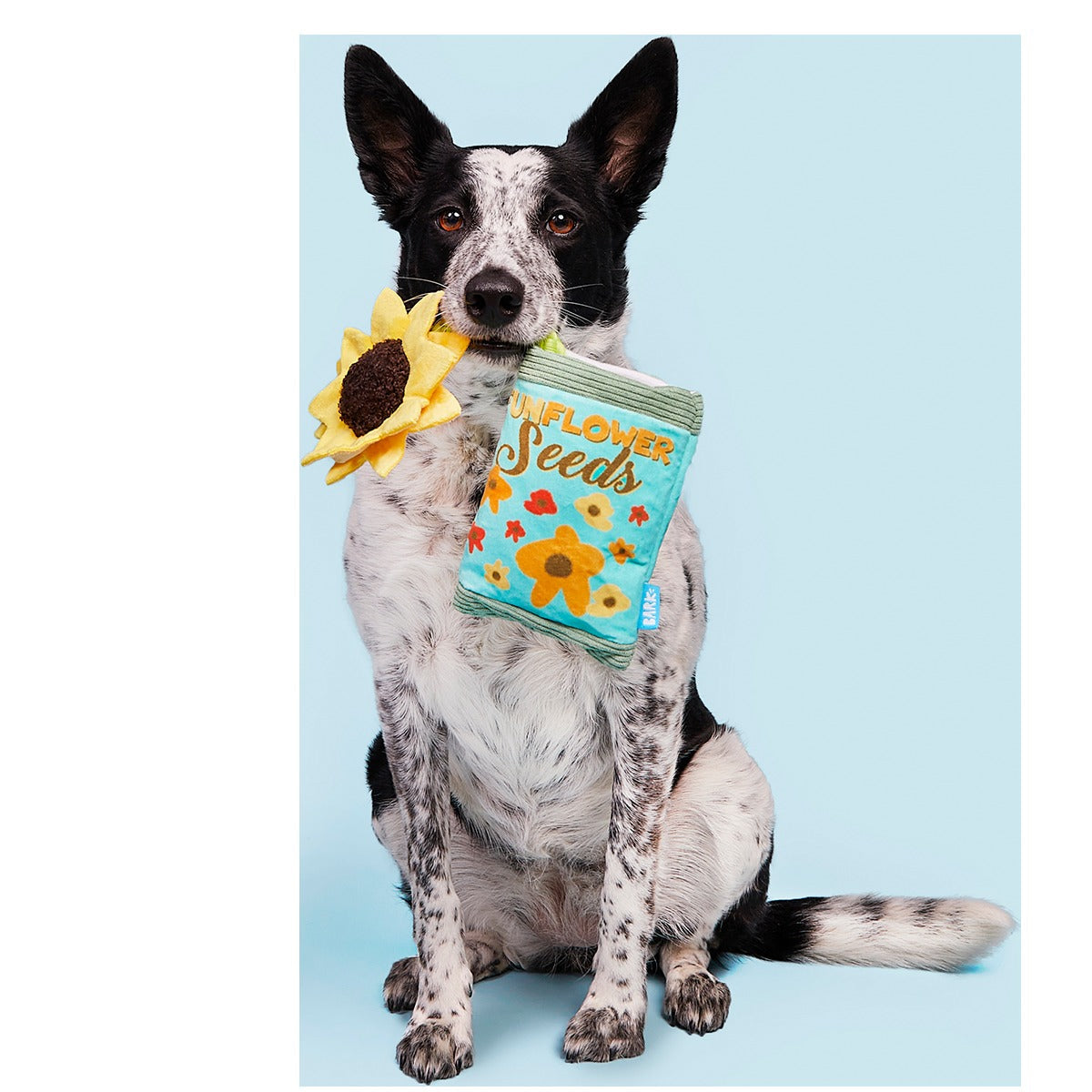 Funflower Seeds Plush Tug Dog Toy