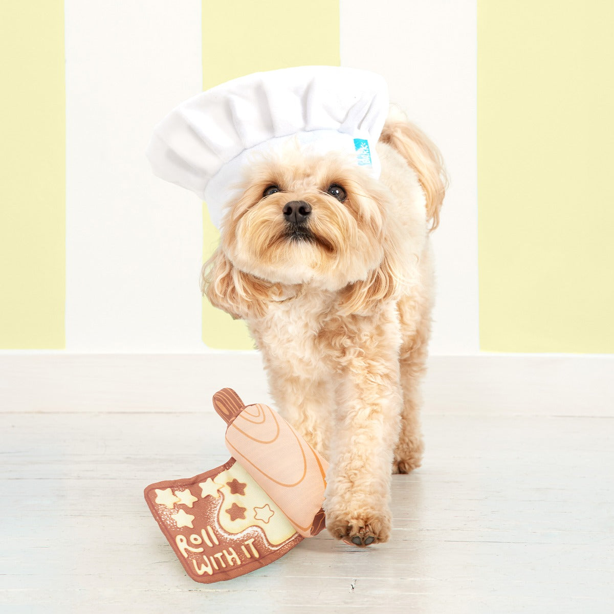 Rollover Pin Plush Tug Dog Toy