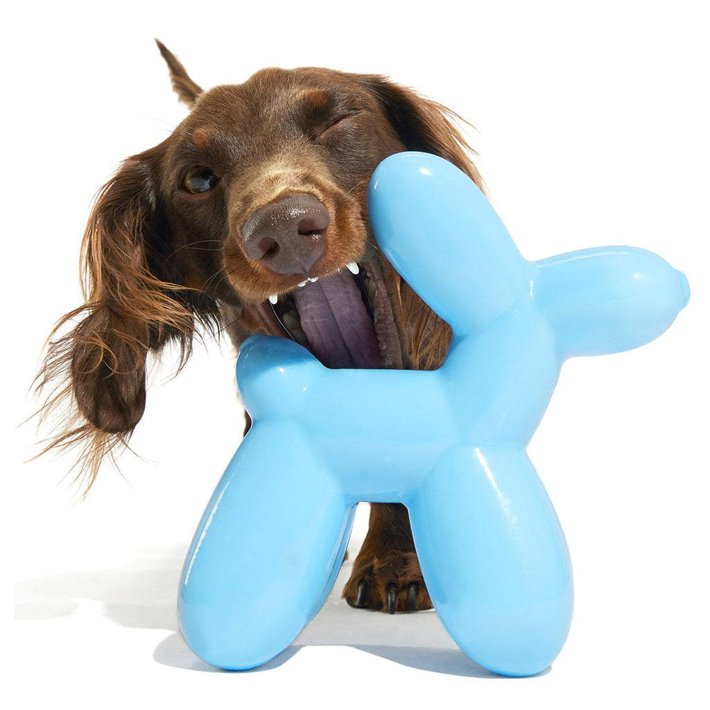 Bob the Balloon Super Chewer Durable Gnaw Dog Toy