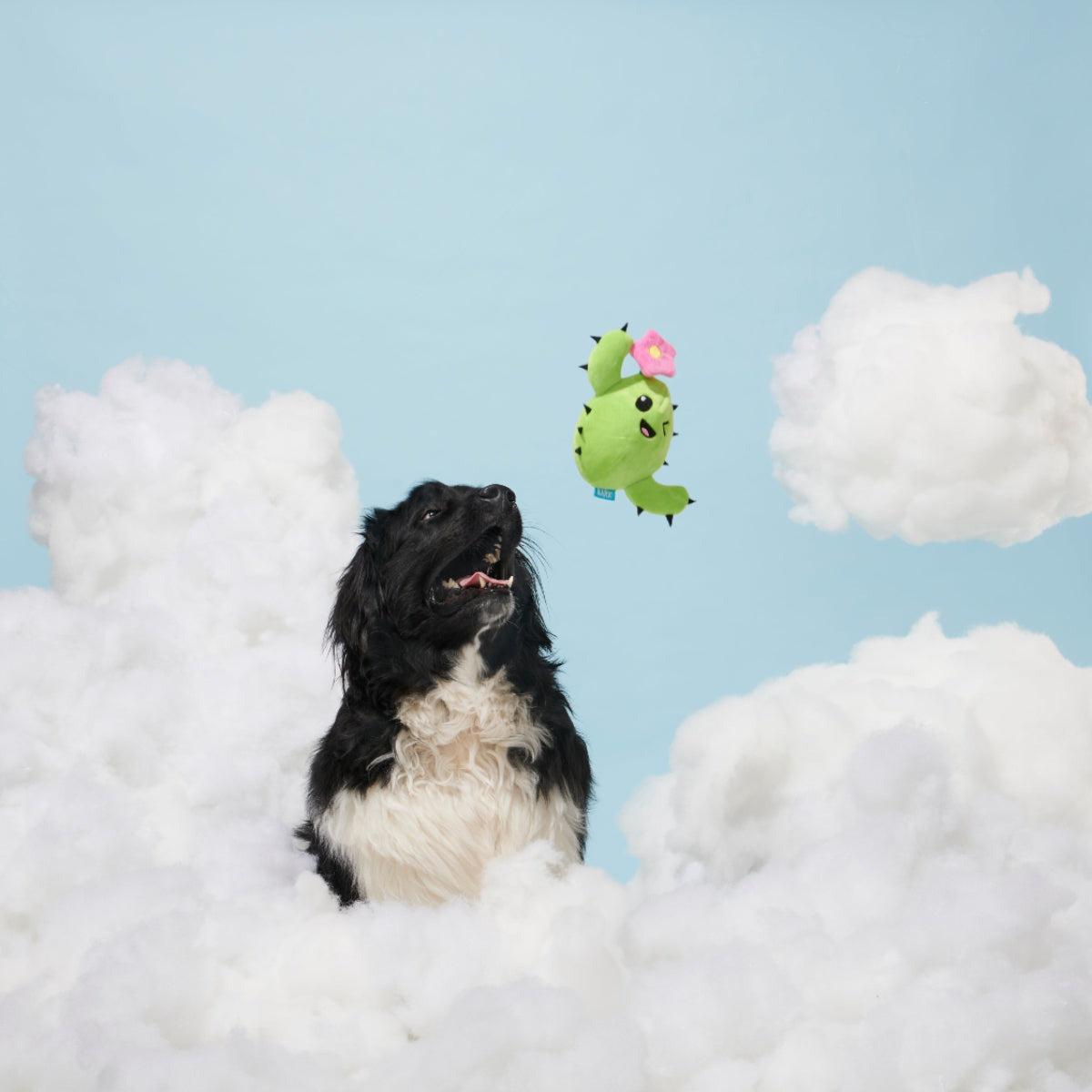 Consuela Comes Out Plush 2-in-1 + Tug Dog Toy