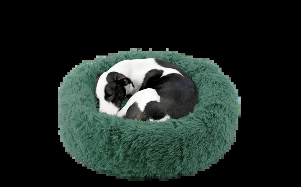 Dog Bed