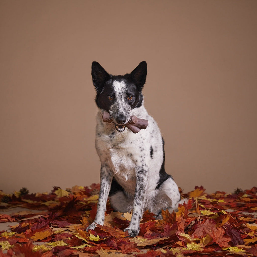 Fall Fetch Stick Super Chewer Durable Gnaw Dog Toy