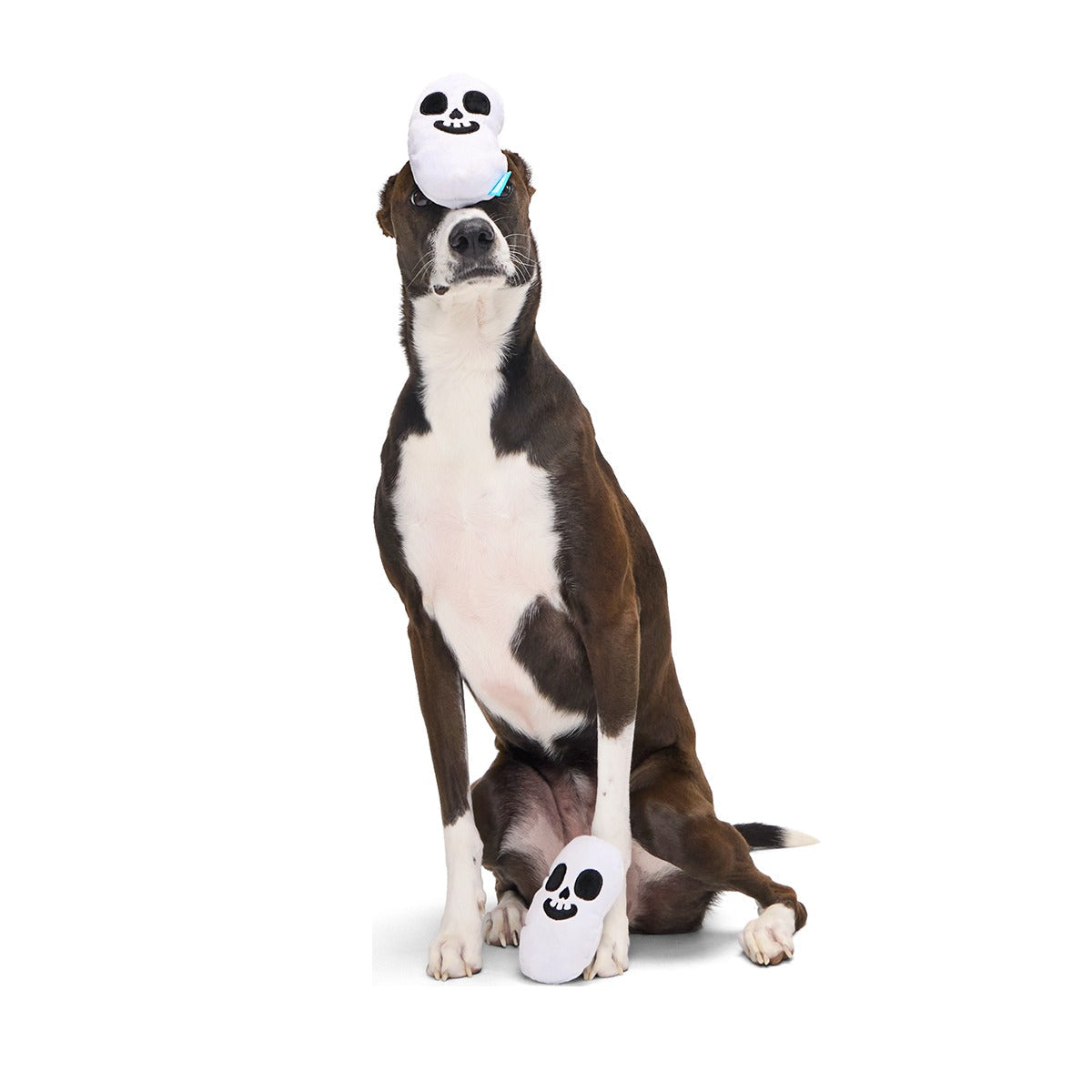 Re-Play Pack: Skelly Beans Plush Multi-Part Dog Toy