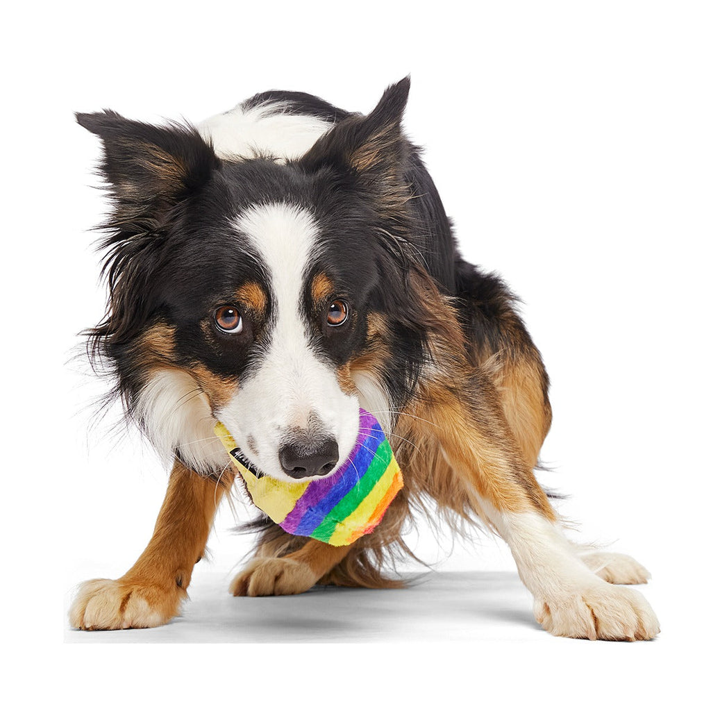 Rainbow-wow Sherbert Super Chewer Durable 2-in-1 + Enrichment Dog Toy