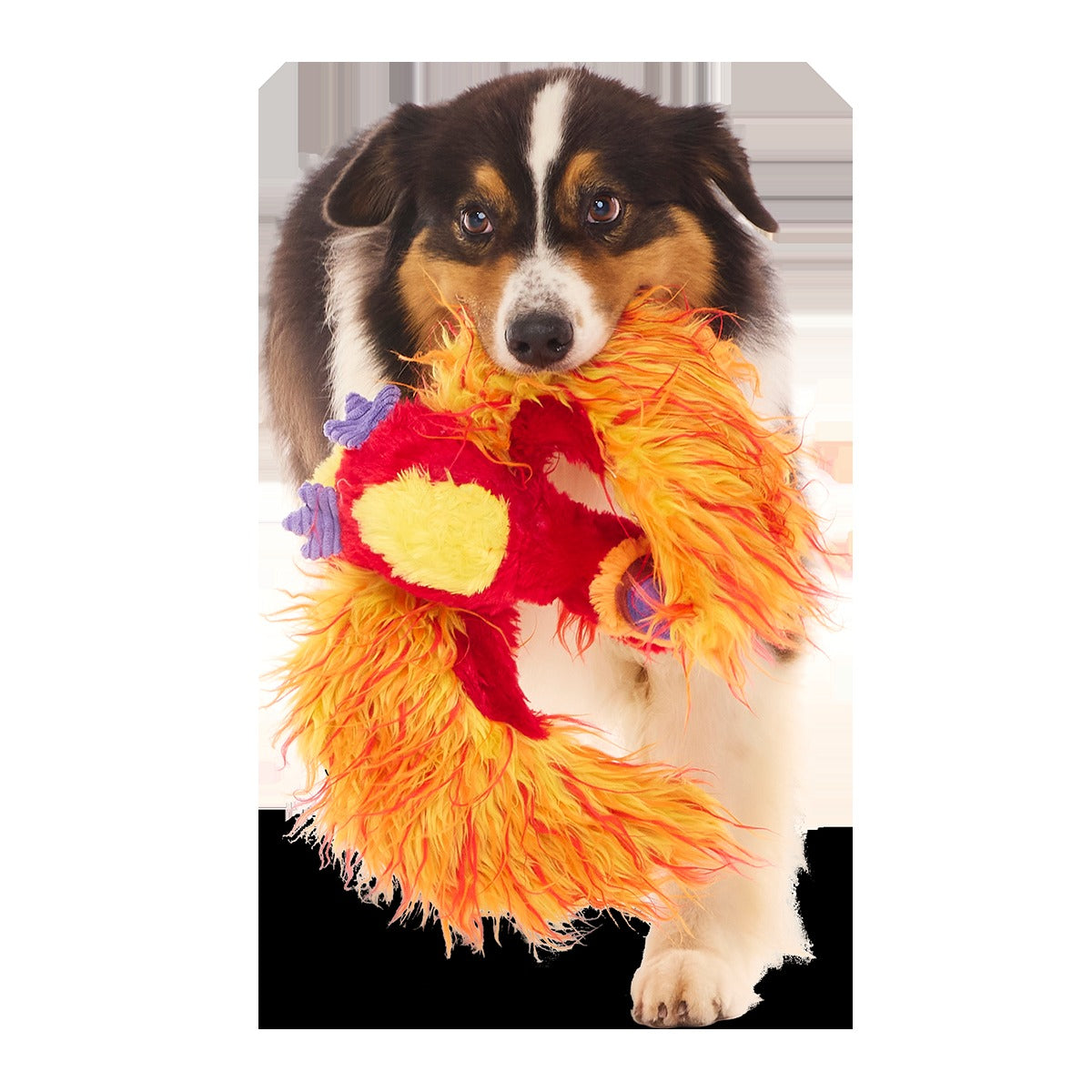 FawkesTM Plush Tug Dog Toy