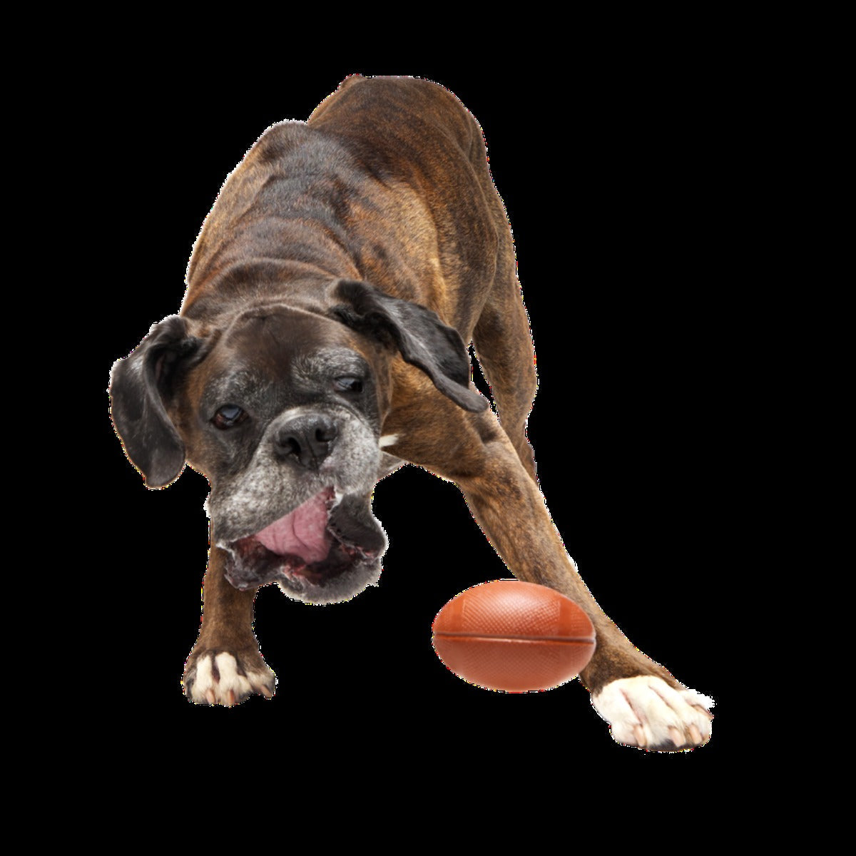 Chompionship Football Super Chewer Durable Fetch Dog Toy