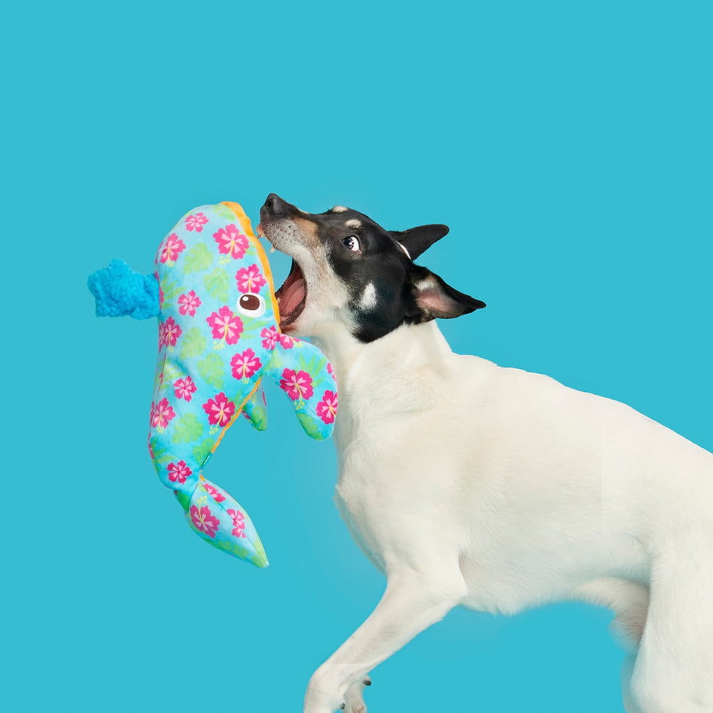 Hawaiian Humpbark Whale Plush Tug + Extra-Large Dog Toy