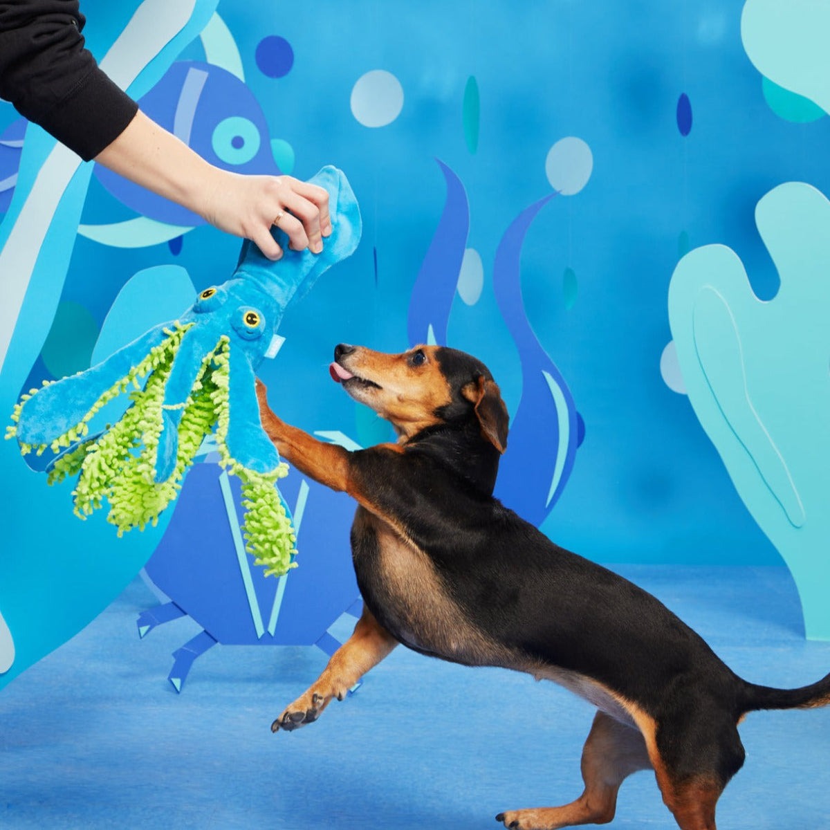 Shifty Sid the Squid Plush Extra-Large + Tug Dog Toy