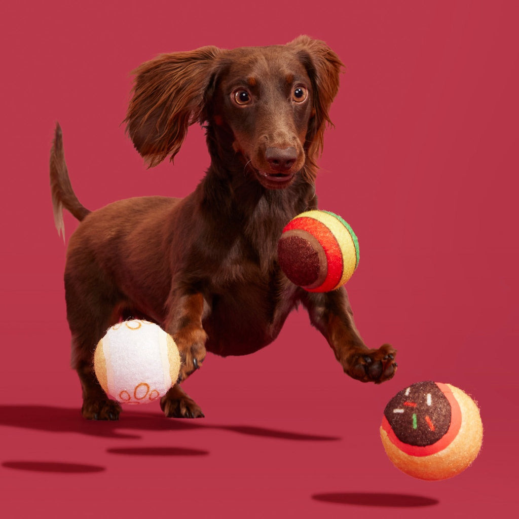 Ballscoti Cookies Plush Multi-Part Fetch Dog Toy