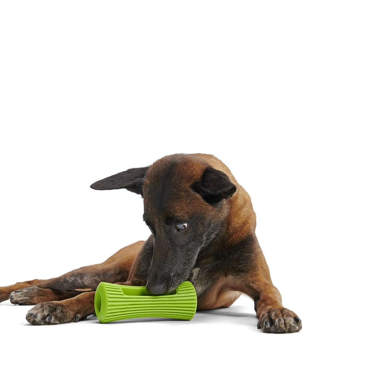 Celery Super Chewer Durable Fetch + Enrichment Dog Toy