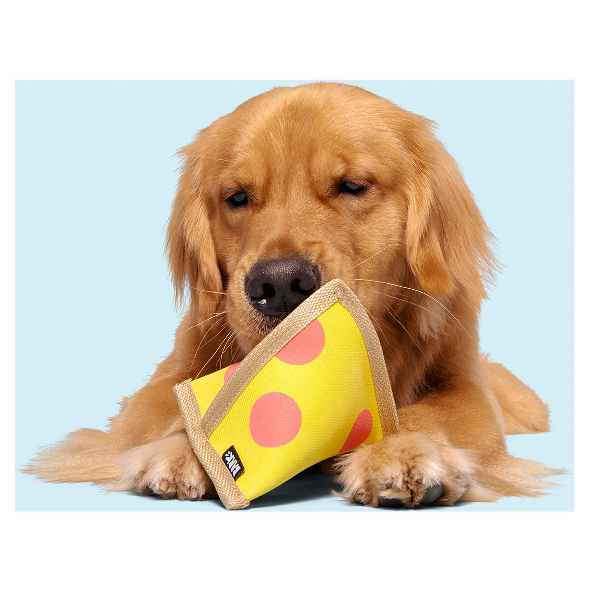 Lil Squeaker's Pizza Super Chewer Durable 2-in-1 Fetch Dog Toy