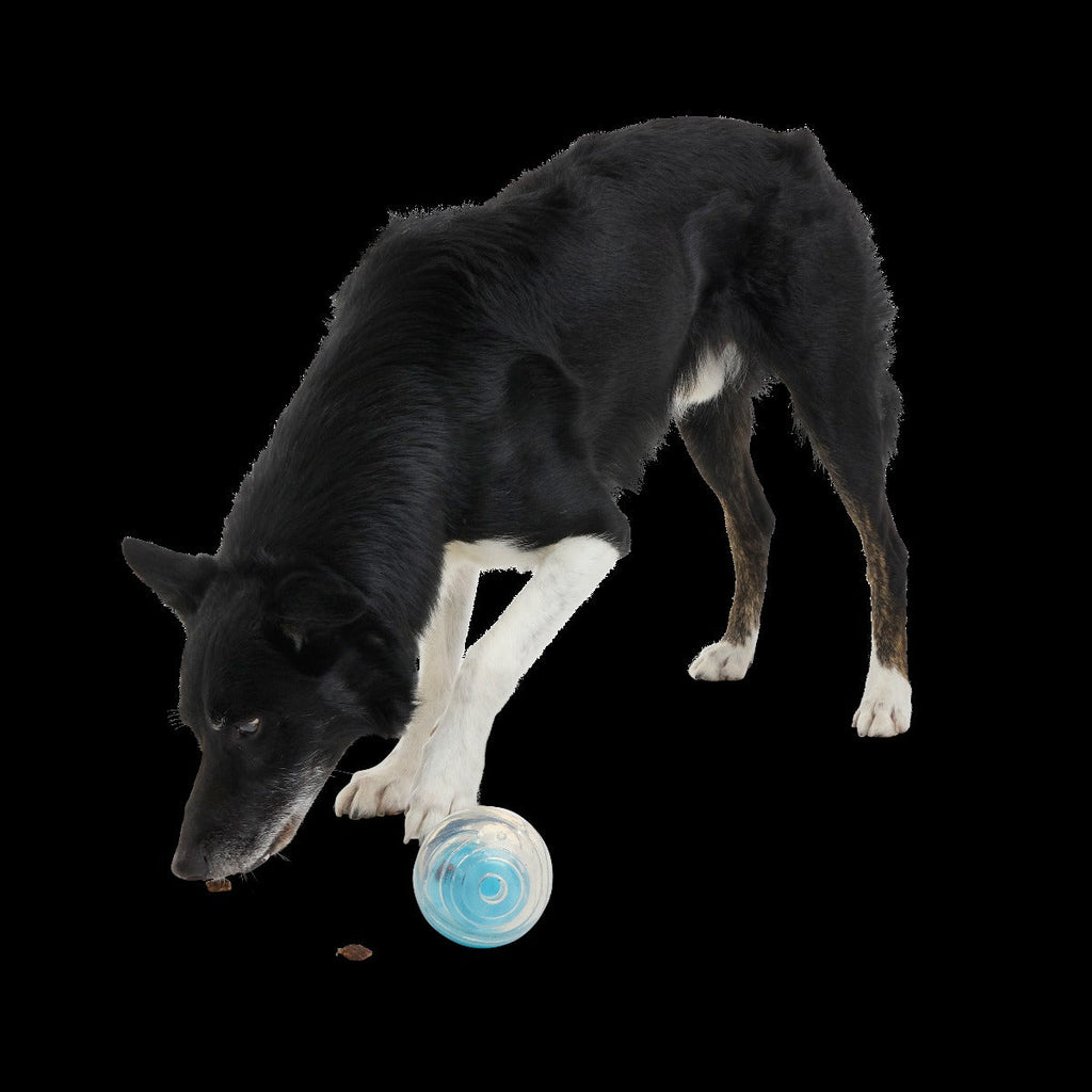 Apex Puzzler Super Chewer Durable Enrichment + Fetch Dog Toy