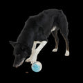 Apex Puzzler Super Chewer Durable Enrichment + Fetch Dog Toy