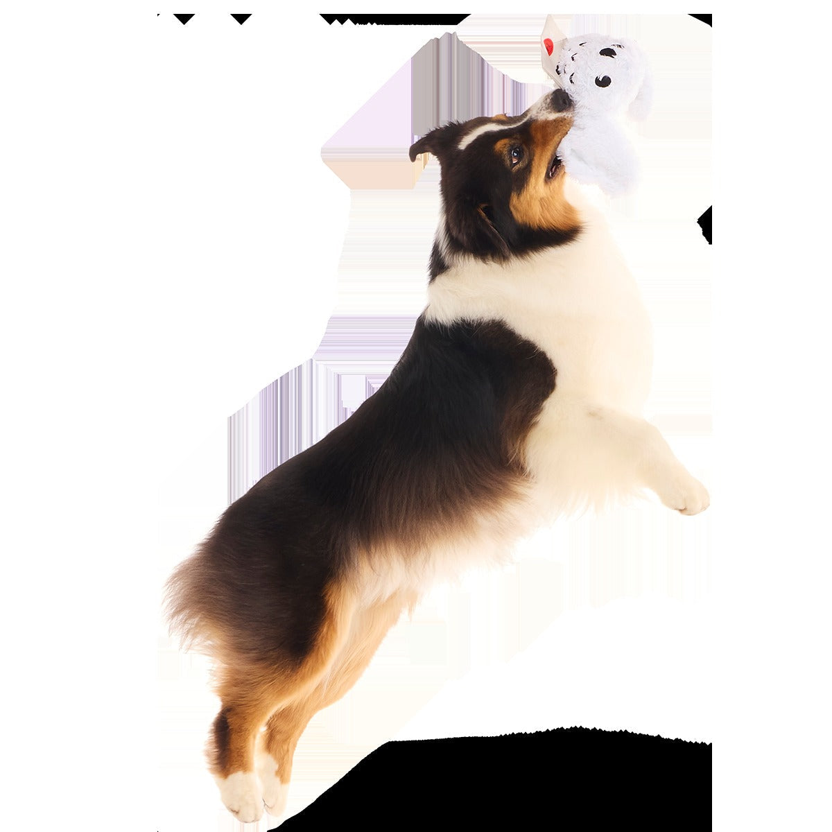 HedwigTM Plush Tug Dog Toy