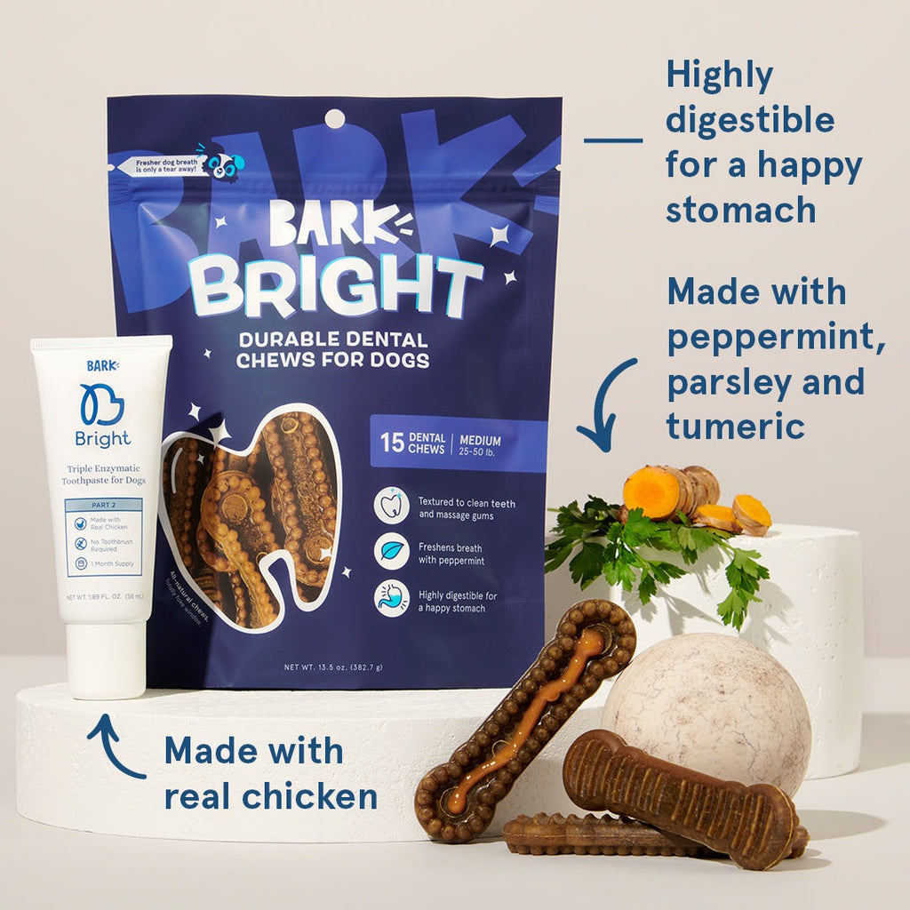 Bright Durable Dental Kit, 15 Ct Chews + Toothpaste