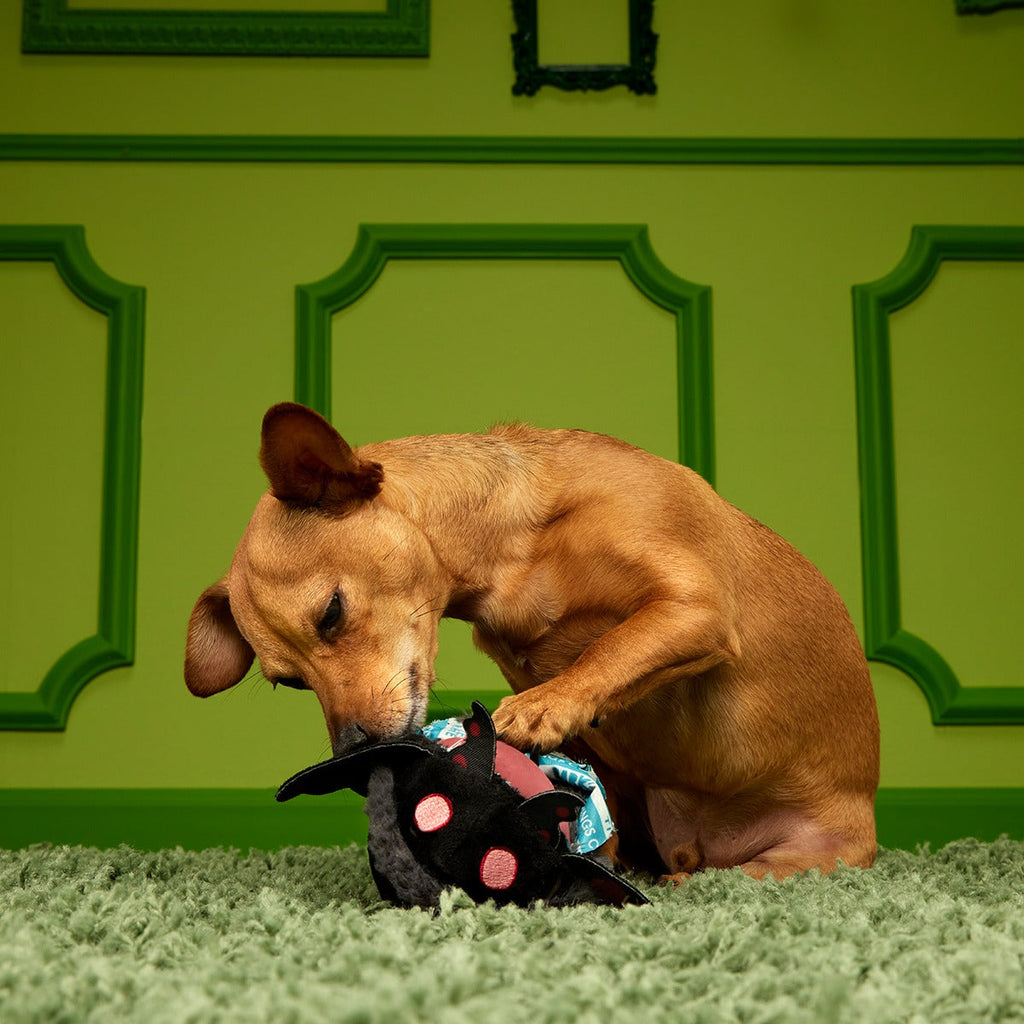 Mothmutt Super Chewer Durable 2-in-1 + Enrichment Dog Toy