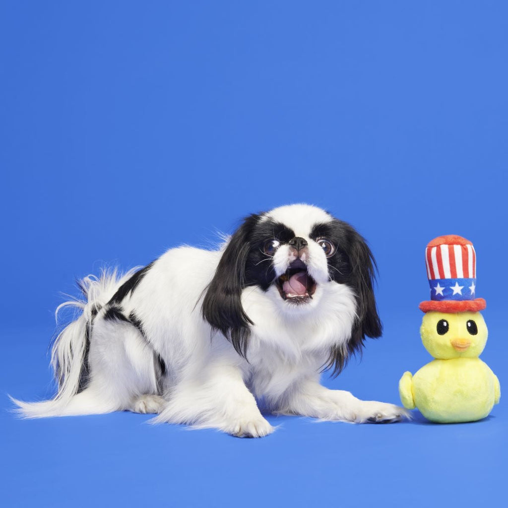 Uncle Duck Plush Dog Toy