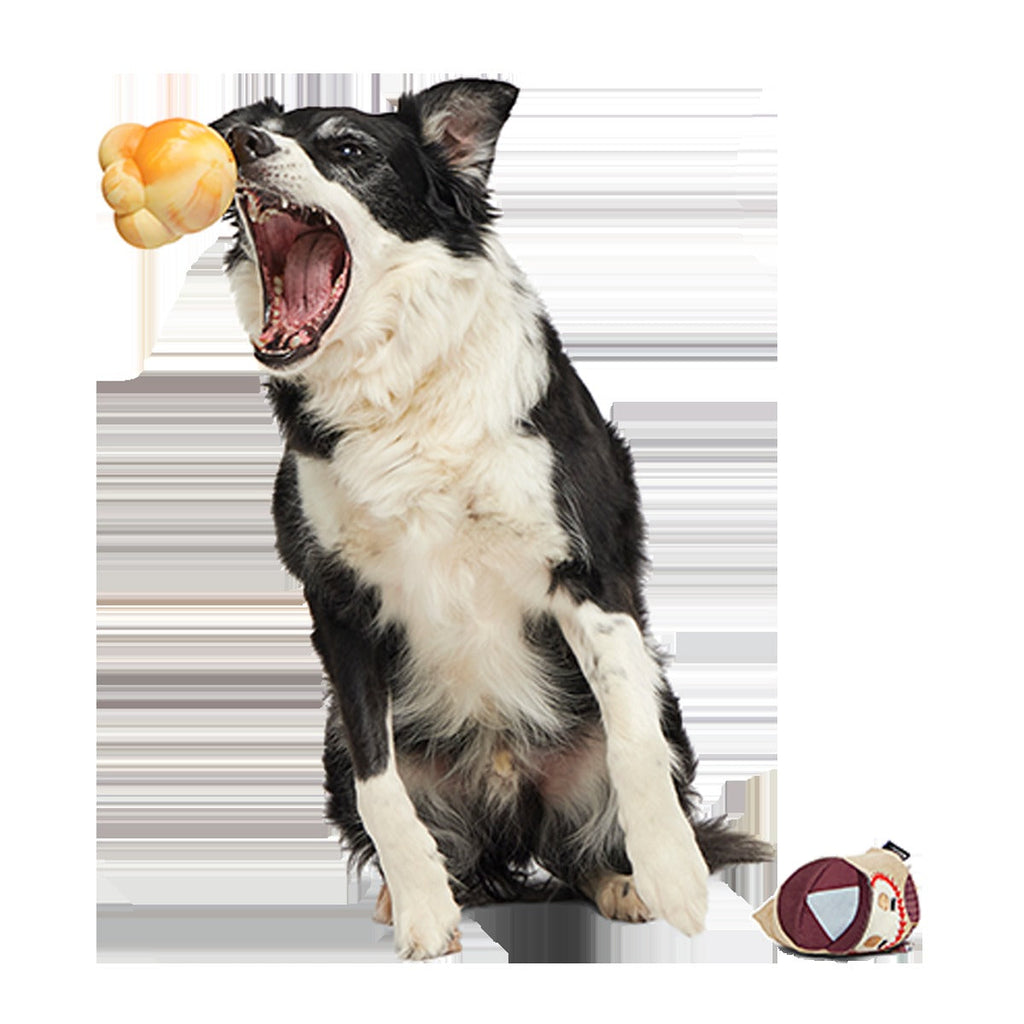 Crackin' Jake Super Chewer Durable 2-in-1 + Enrichment + Fetch Dog Toy