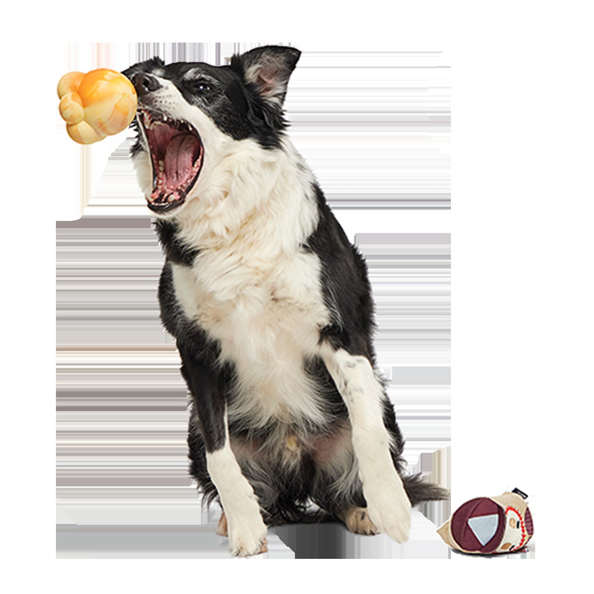 Crackin' Jake Super Chewer Durable 2-in-1 + Enrichment + Fetch Dog Toy