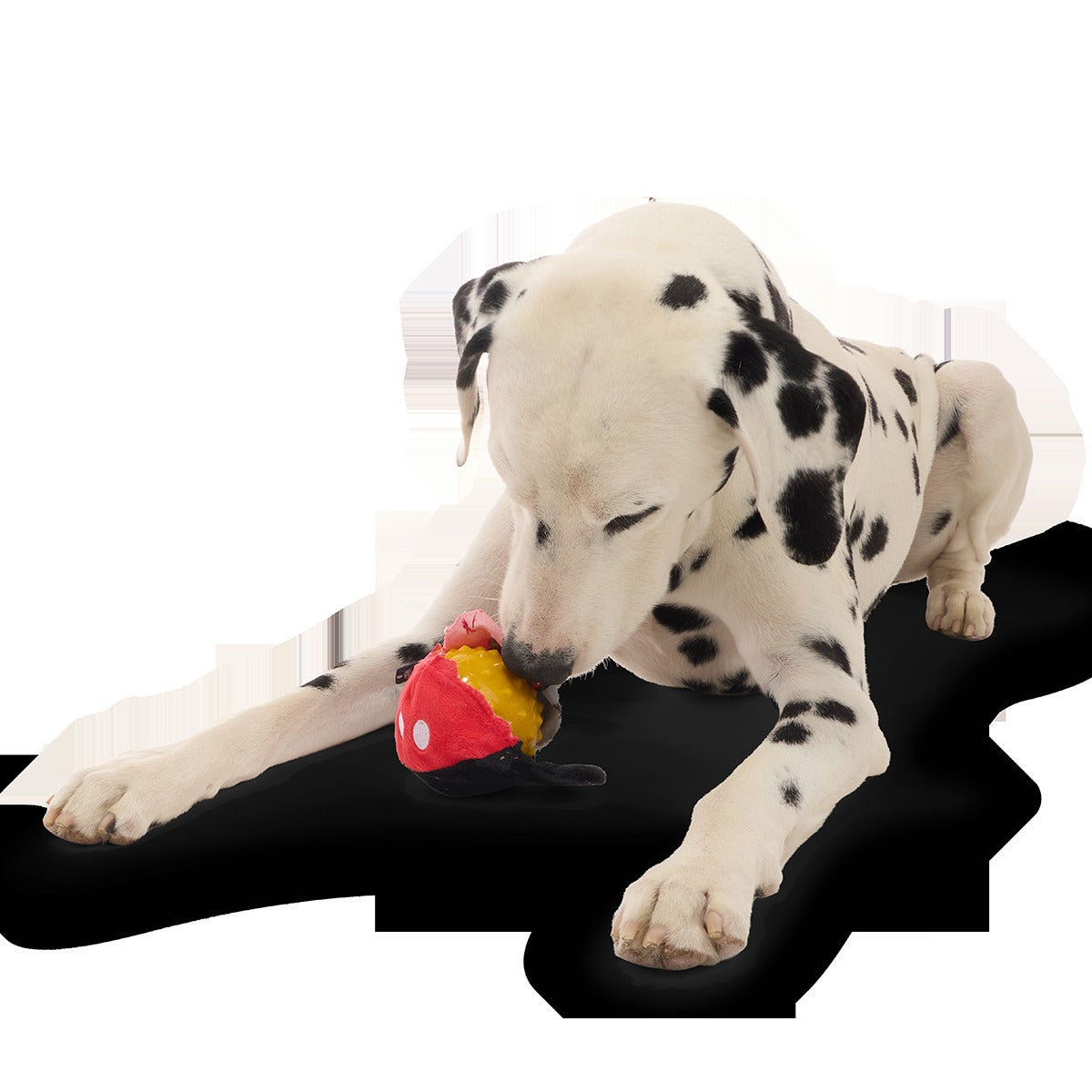 Mickey Mouse Ball Super Chewer Durable 2-in-1 + Fetch Dog Toy