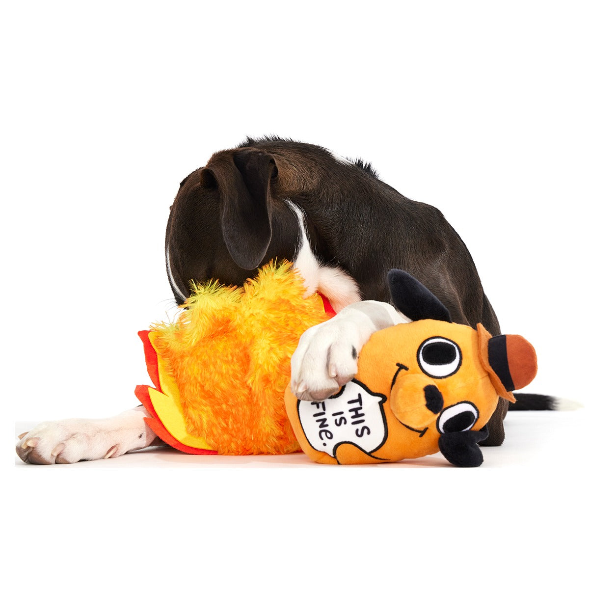 This is Fine Plush Multi-Part + Enrichment Dog Toy