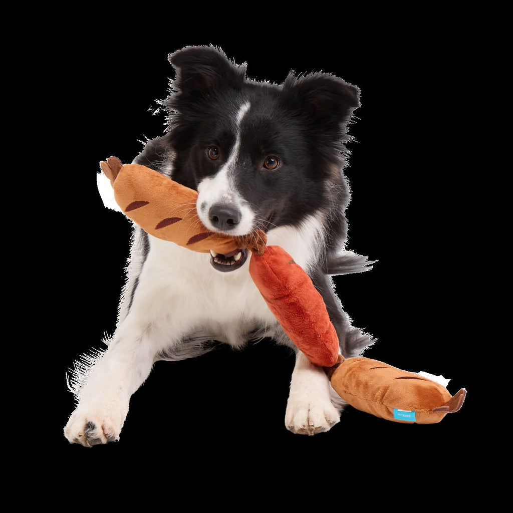 Lickin’ Links Plush Tug Dog Toy