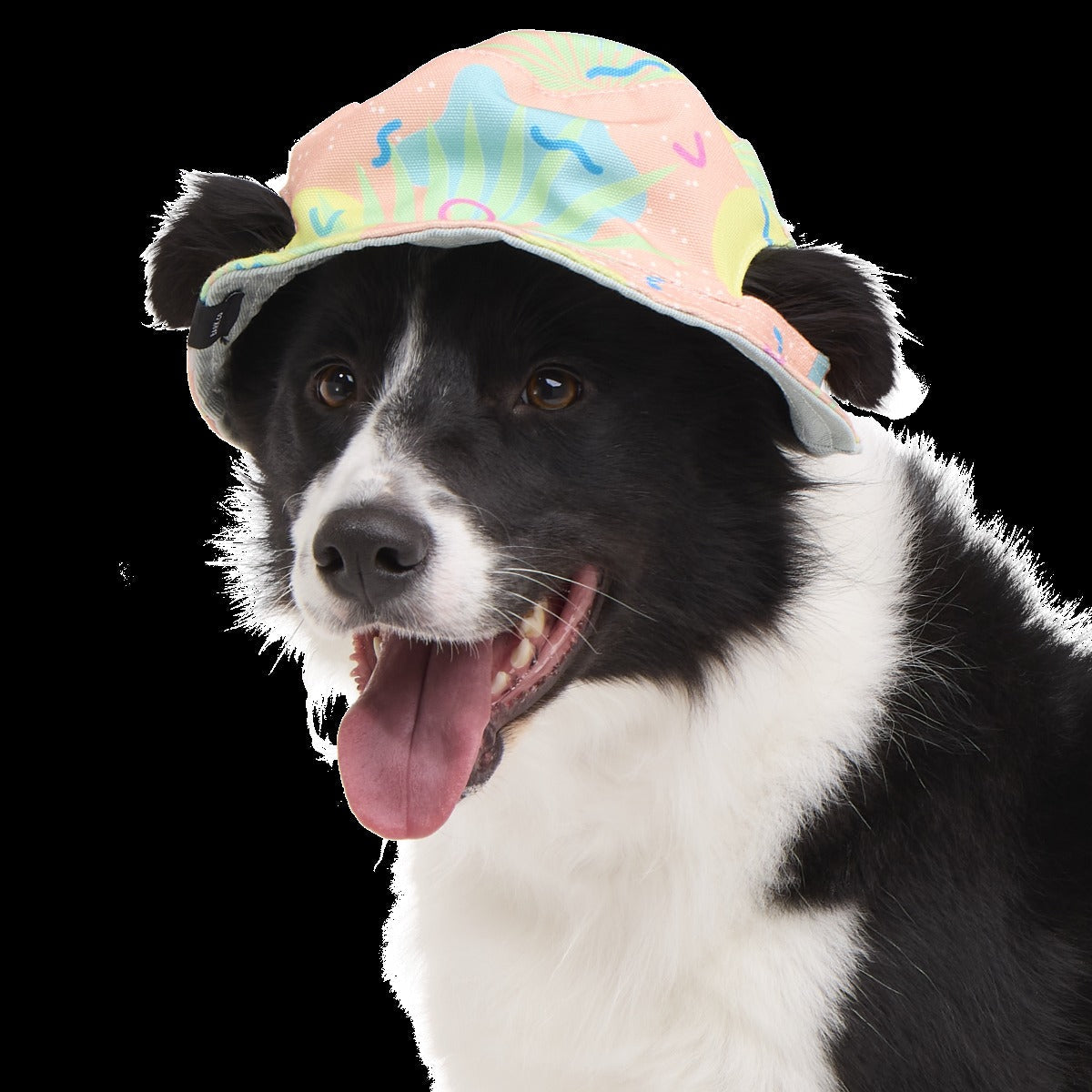 Summertime Reversible Bucket Dog Hat