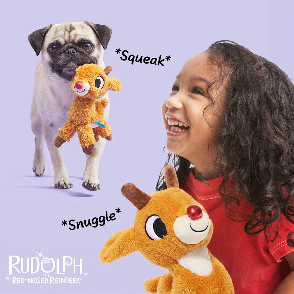 Runnin' Rudolph® Plush Multi-Part Kid + Dog Toy Bundle