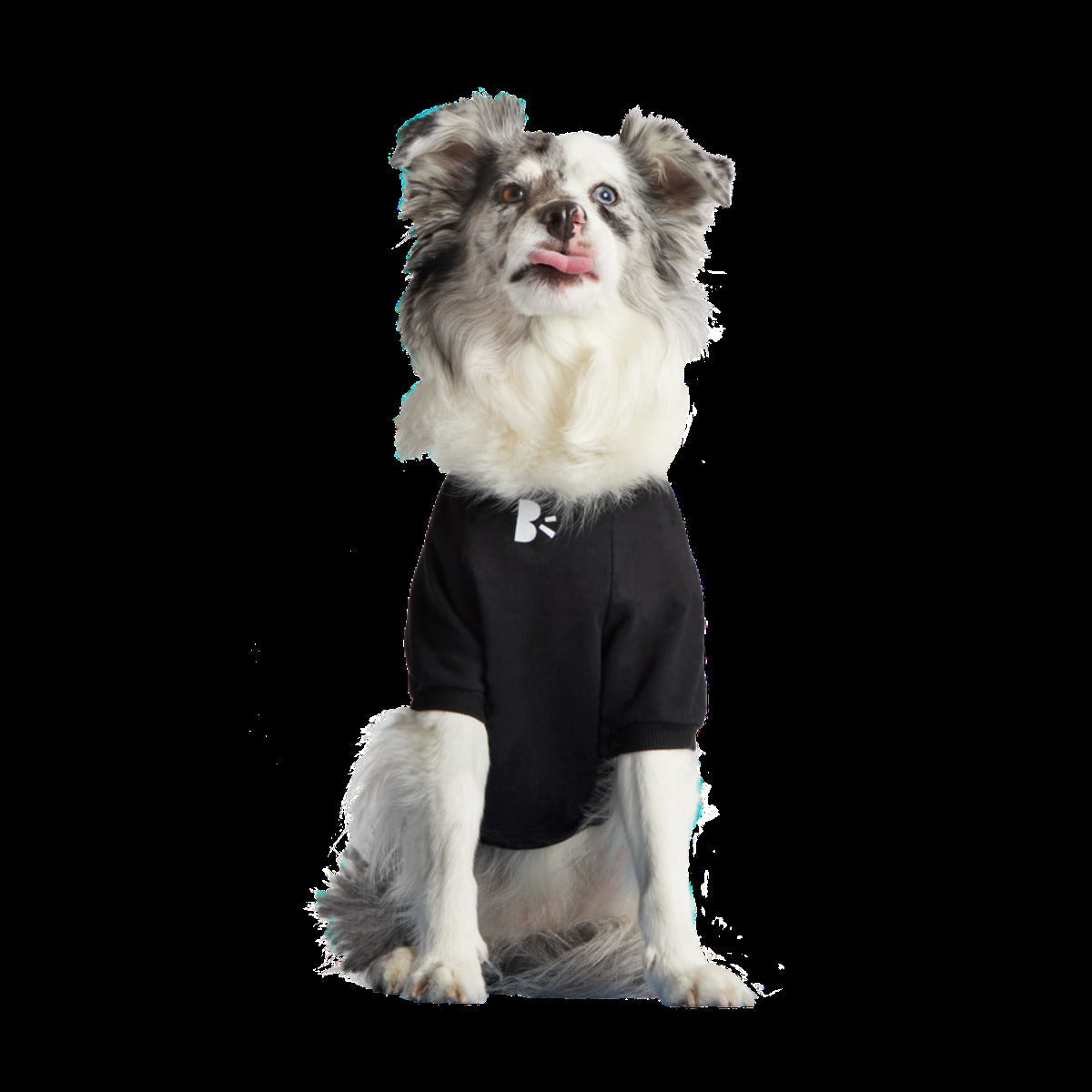 Anti-Squirrel Squirrel Club Dog Sweatshirt
