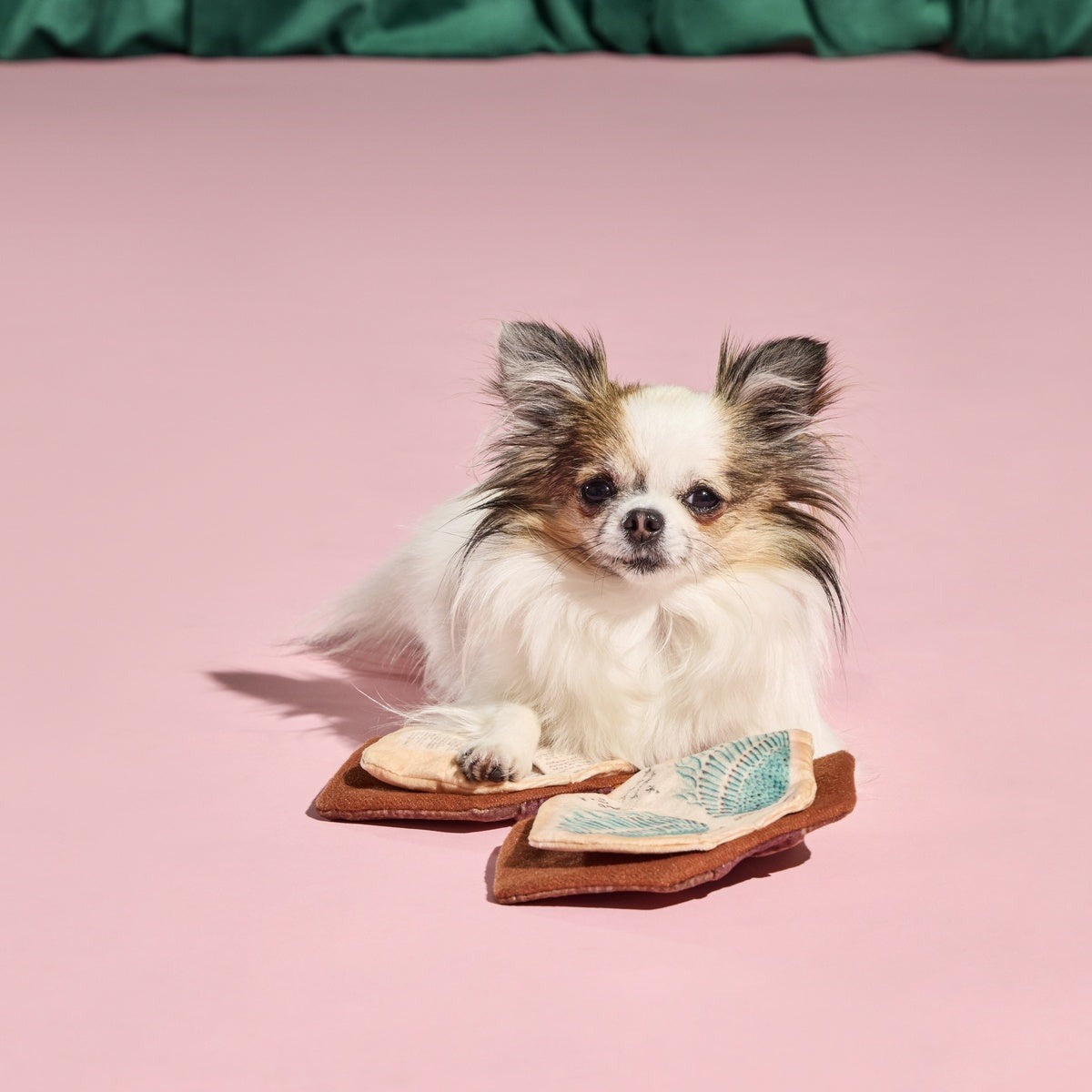 The Grrr-immerie Plush Enrichment Dog Toy