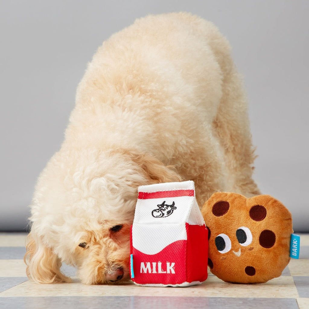 After School Snack Pack Plush Multi-Part Dog Toy