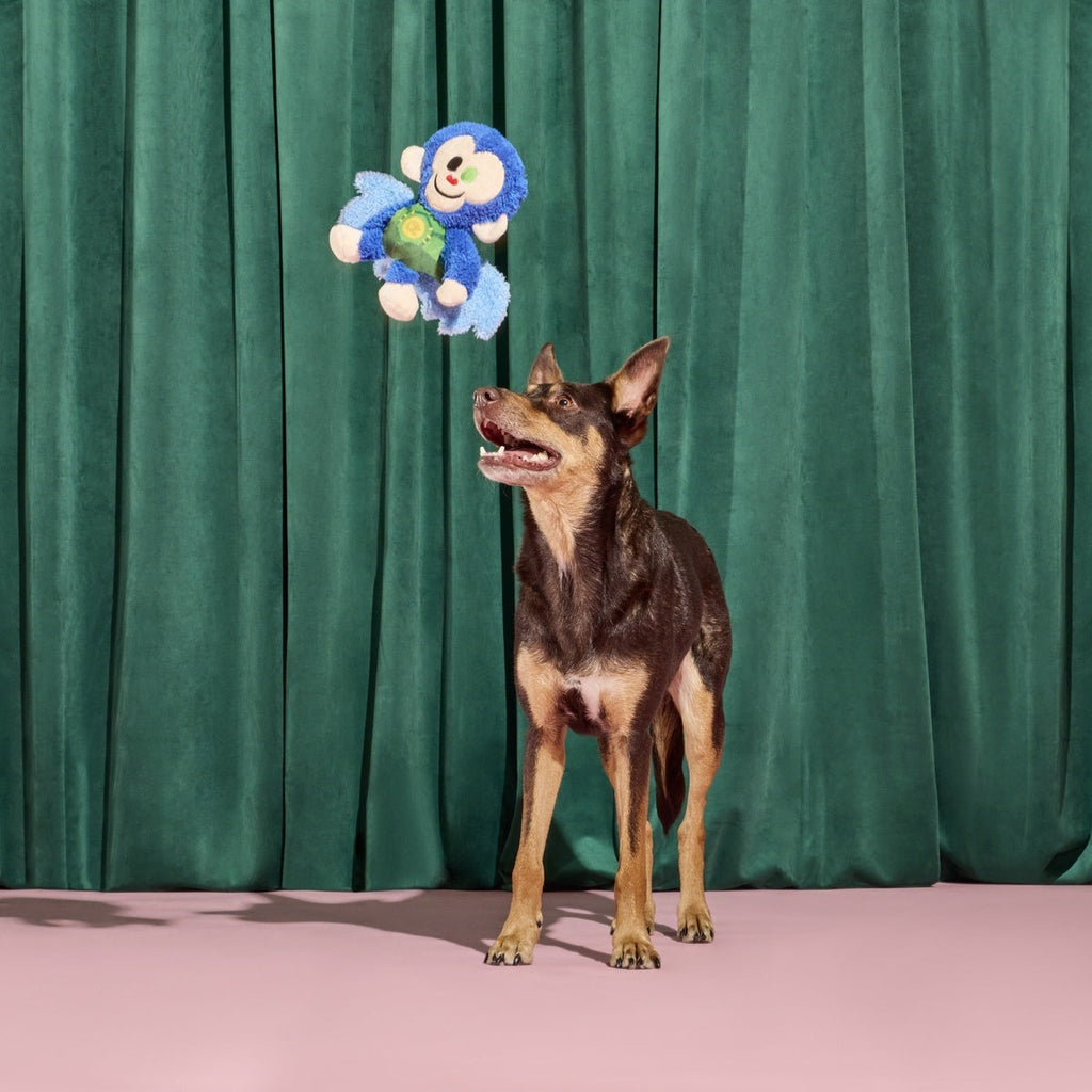 Defying Gravity Chistery Plush Tug Dog Toy