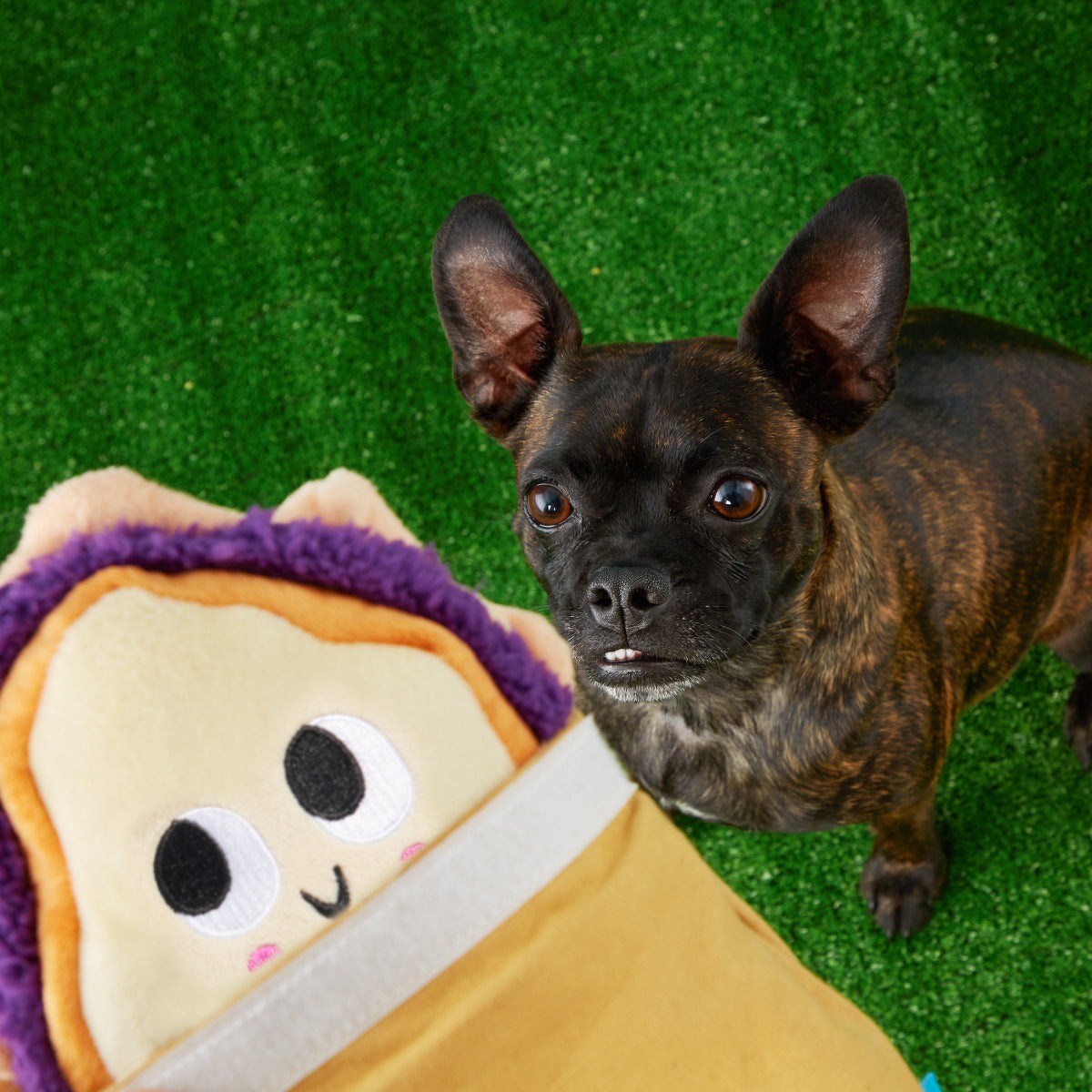 Brown Baggin' It PB&J Plush Multi-Part + Enrichment Dog Toy