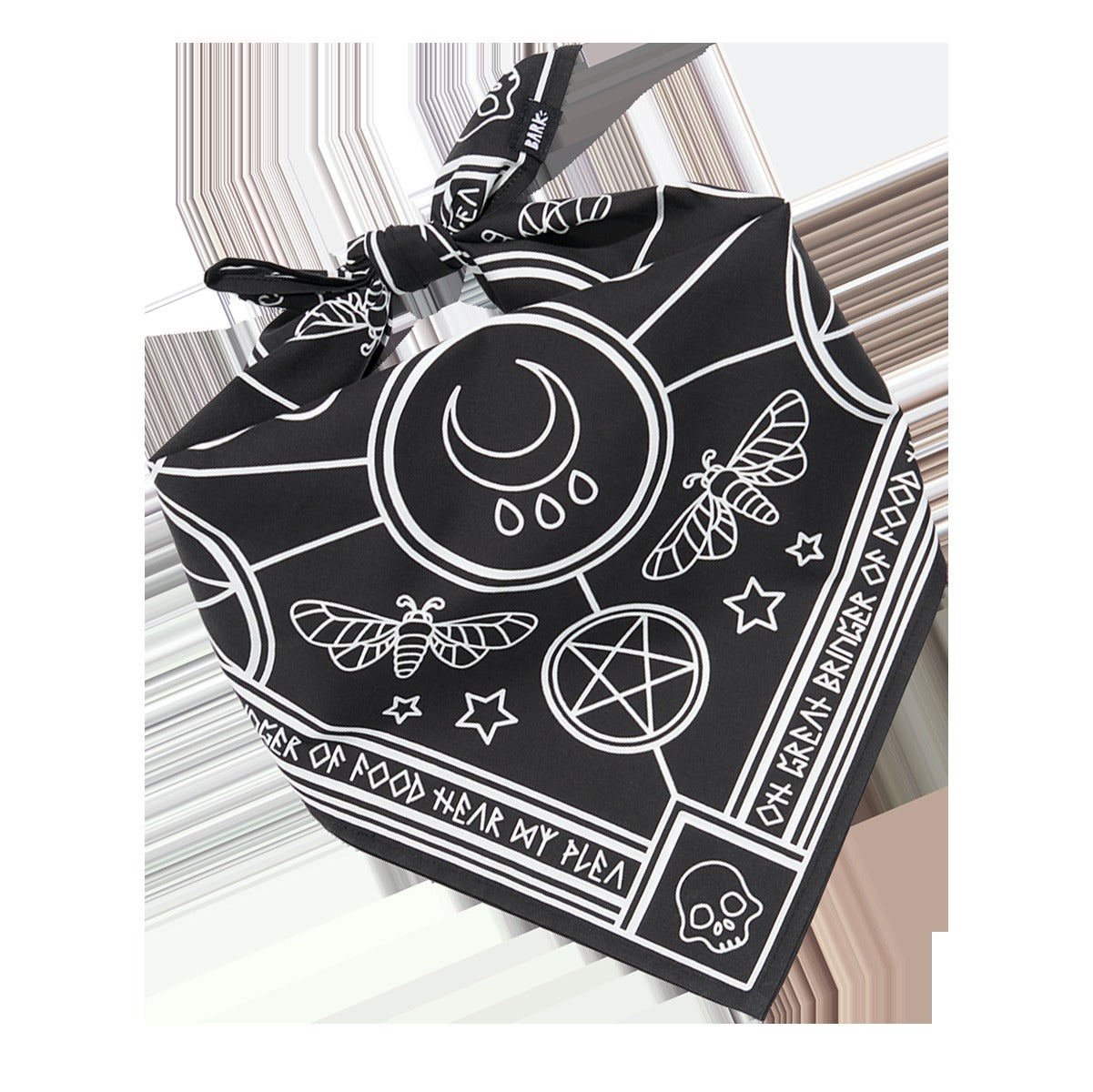 Witch Dog Bandana