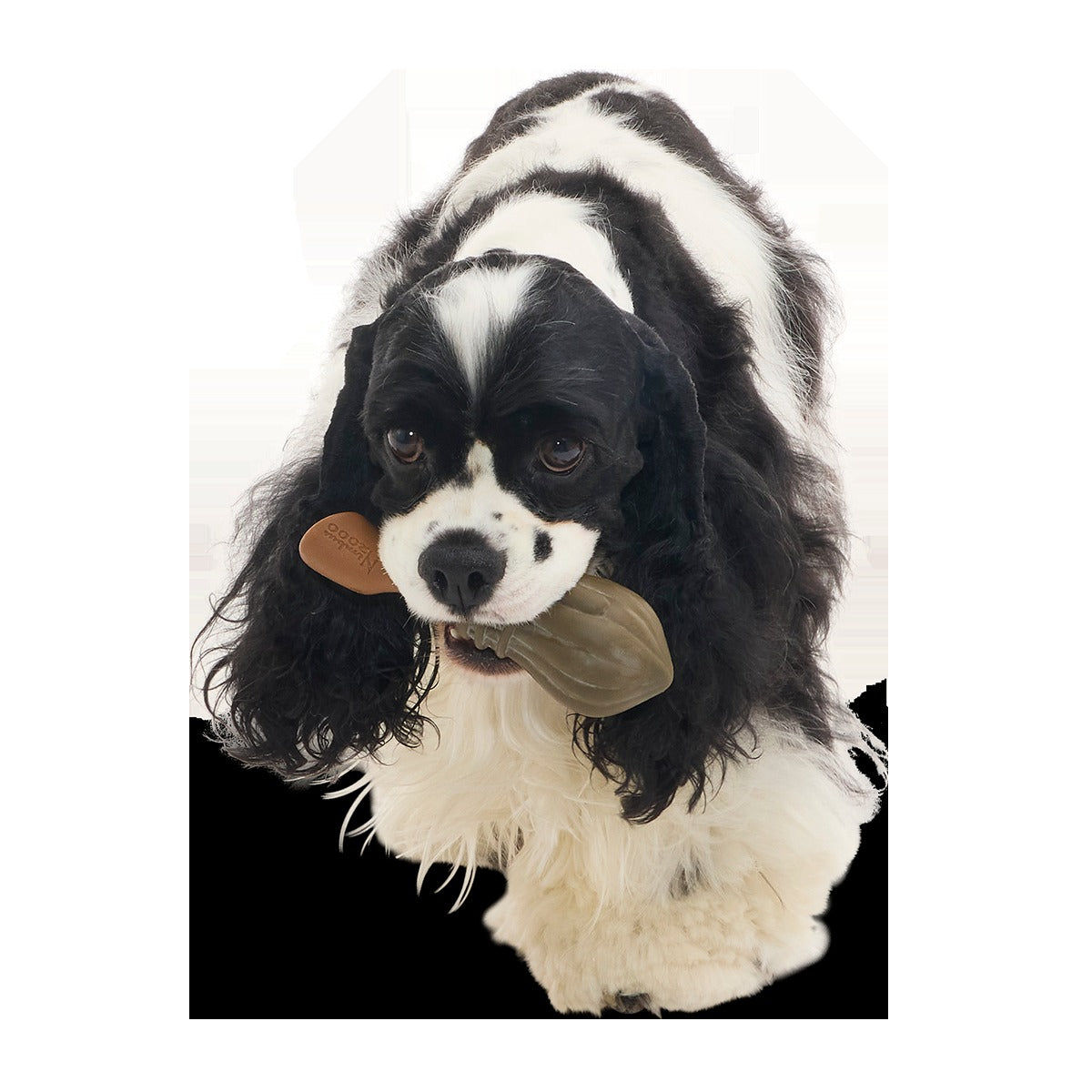 Nimbus 2000TM Super Chewer Durable Tug + Gnaw Dog Toy