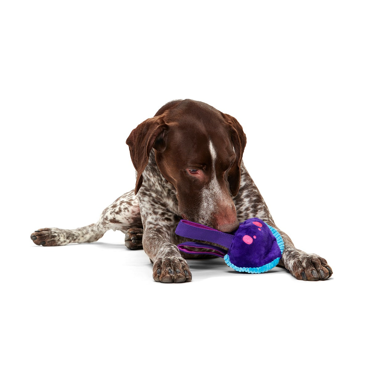 Karen Kraken Super Chewer Durable 2-in-1 + Tug Dog Toy