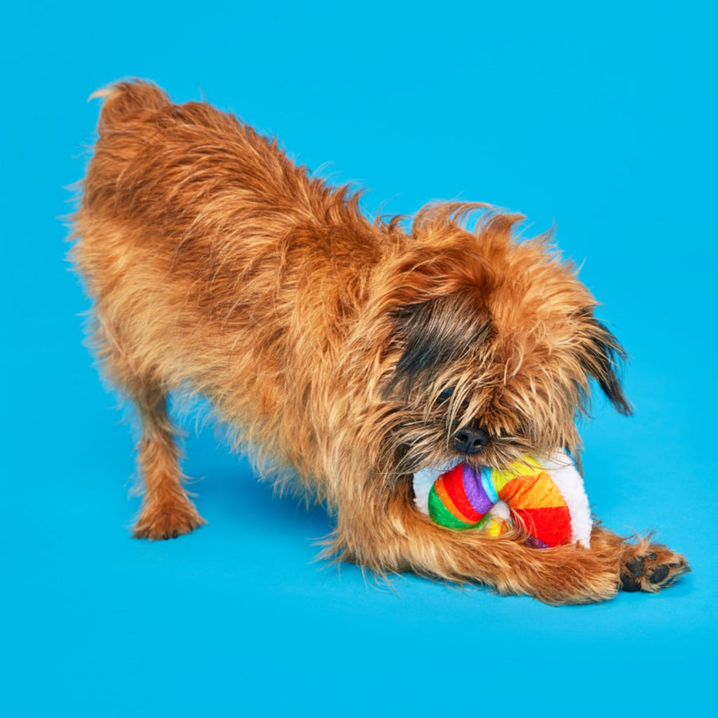 Rainbow-wow Bagel Plush Tug Dog Toy